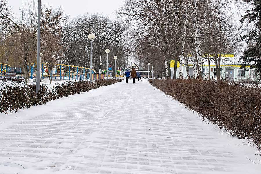 Осторожно гололед: в Ростовской области еще несколько дней продлятся небольшие осадки на фоне морозной погоды