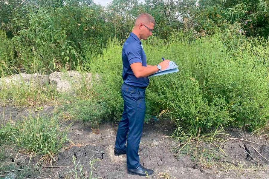 Административная инспекция Ростовской области продолжает выписывать штрафы за нескошенную траву