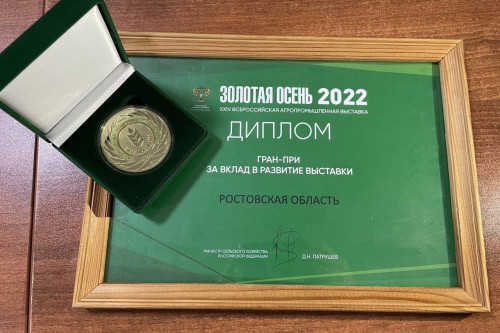 Ростовская область на «Золотой осени-2022»: Гран-при и 85 наград