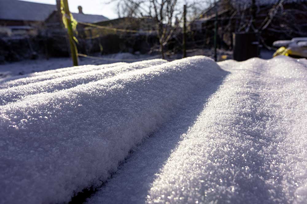 Вторая неделя января в Целинском районе будет морозной