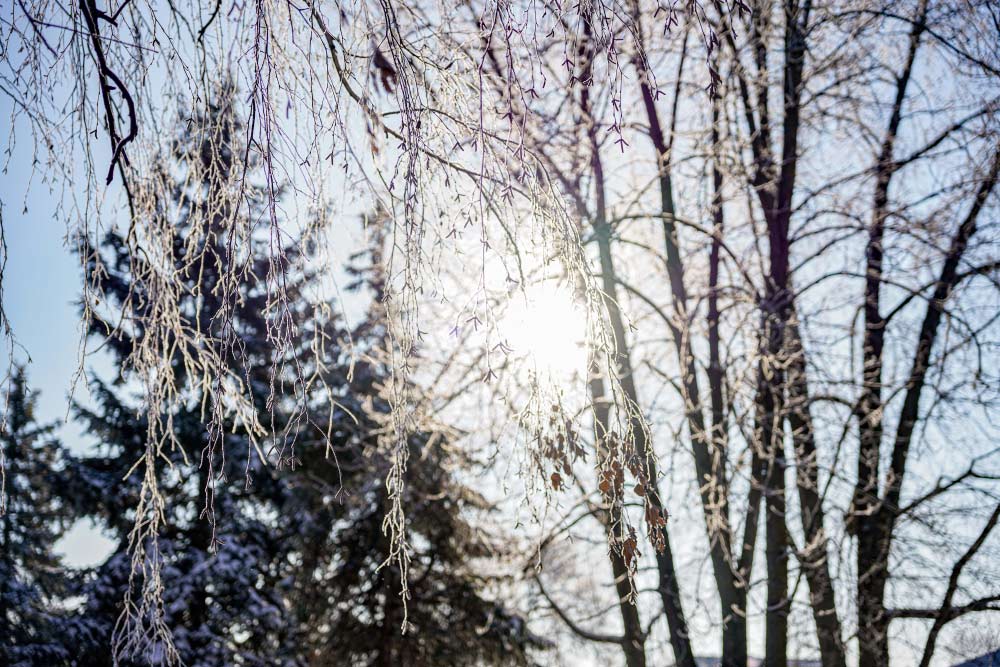 Синоптики прогнозируют: на будущей неделе в Целинском районе сохранятся морозы
