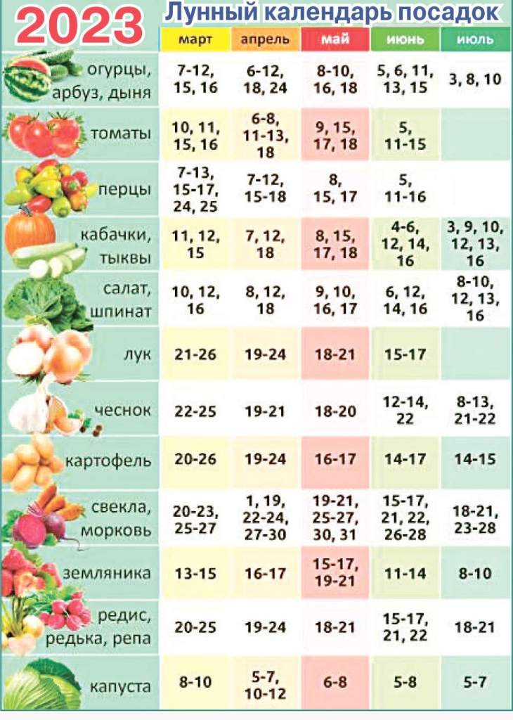 Календарь высадки семян 2024