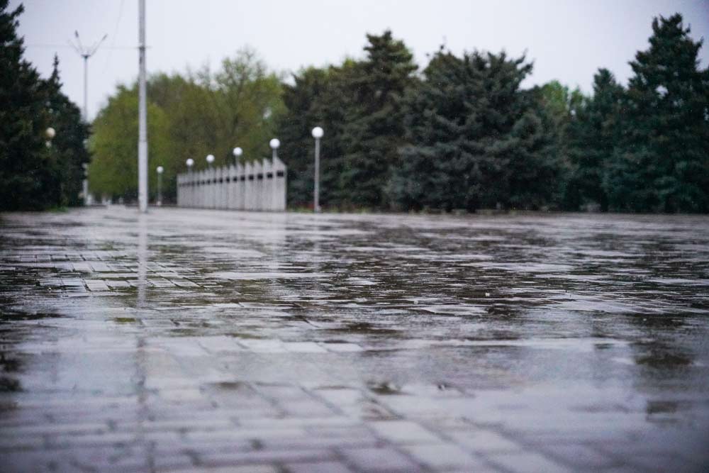 Первая неделя нового года в Целинском районе: температурные качели и дожди