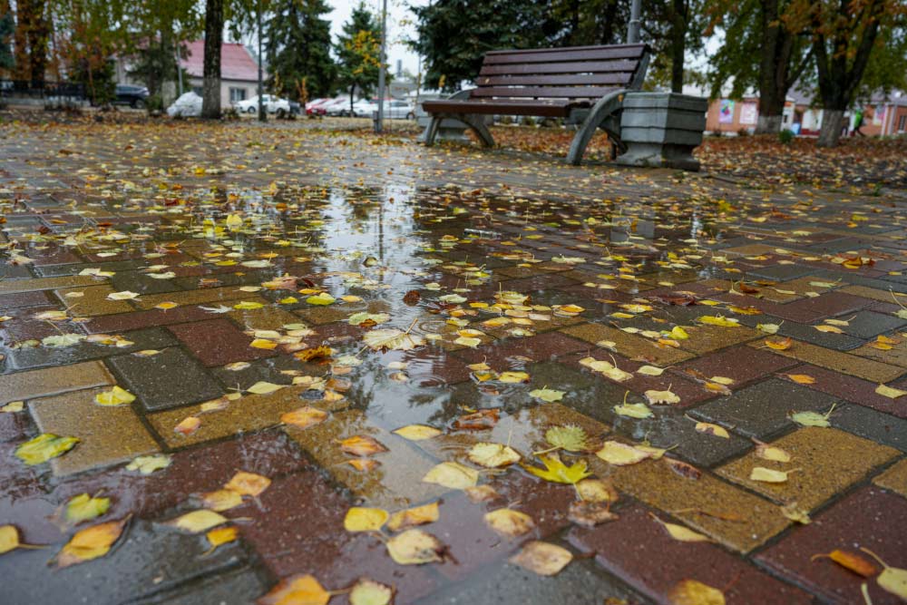 В выходные дни в Целинский район вернутся плюсовые температуры и дожди